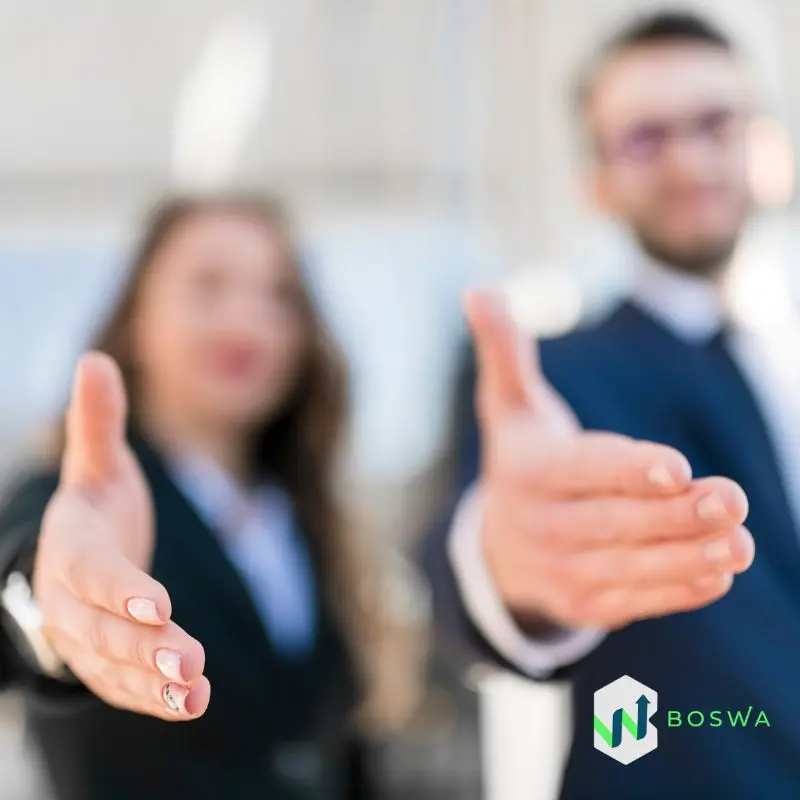 Boswa consulting experto fiscalidad europa